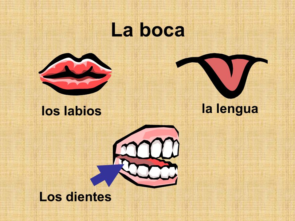 Y por que duele la parte inferior de la espalda